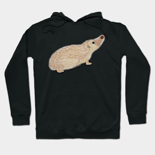 Sniffing Hog Hoodie